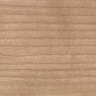 Плинтус TARKETT SALSA 16X60 Вишня