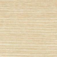 Плинтус TARKETT SALSA 16X60 Ясень