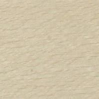 Плинтус TARKETT SALSA 23X60 Бук Ориджинал