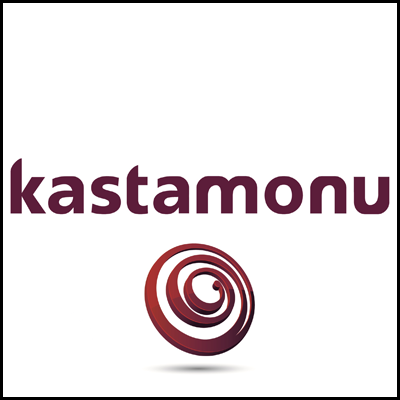 Ламинат Кастамону