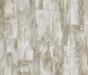 Линолеум Tarkett Gladiator Miele 2