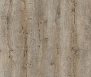 Ламинат Kastamonu Violet Дуб Восток 1121