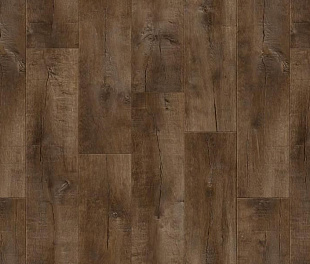 Линолеум Tarkett Gladiator Saratoga 3