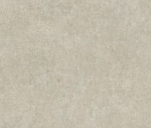 Линолеум Tarkett Acczent Pro CONCRETE 01