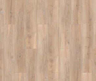 Ламинат Tarkett Taiga Первая Сибирская Ясень жёлтый (504466001)