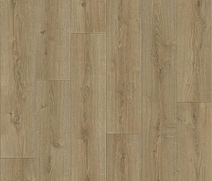 Линолеум Tarkett Praktika Bruno 2